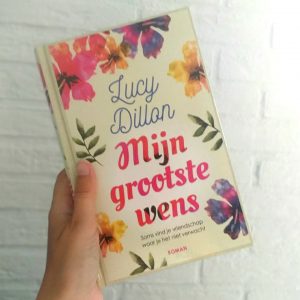 Mijn grootste wens - Lucy Dillon