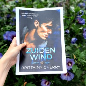 Zuidenwind (Kompas #1) - Brittainy Cherry