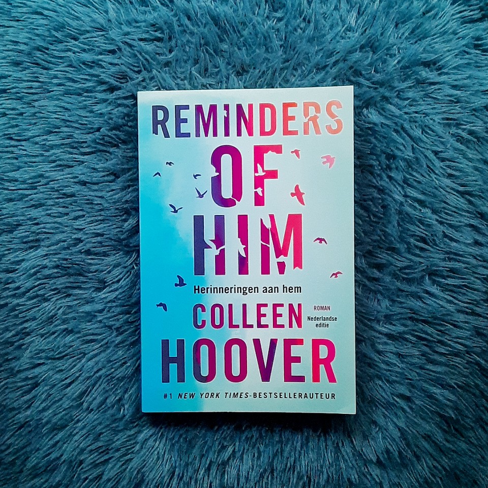 colleen hoover reminders of him